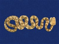 藏品(龜殼花)的圖片